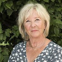 Vivian den Hollander
