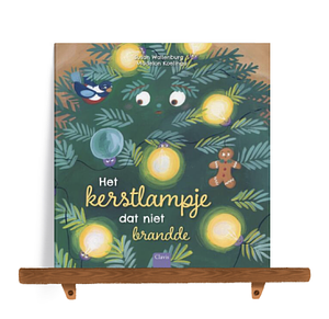 Het kerstlampje dat niet brandde