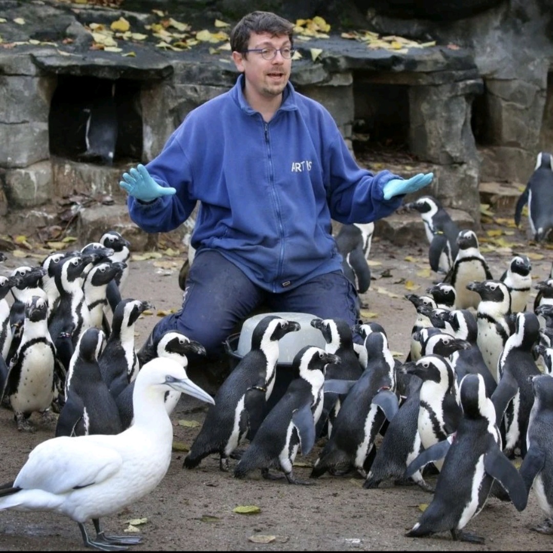 Afbeelding van de auteur